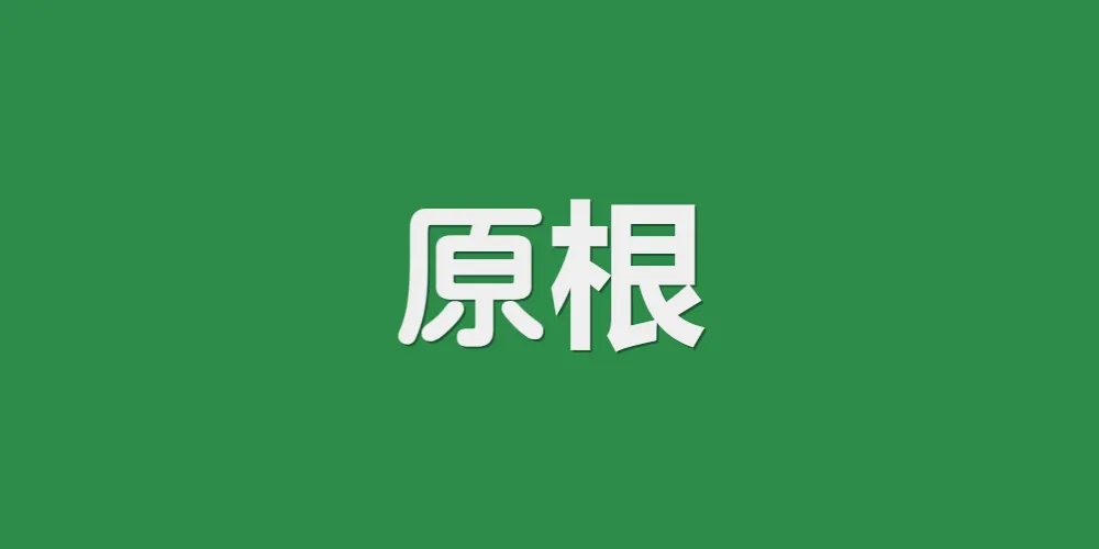 C++ 原根知识详解